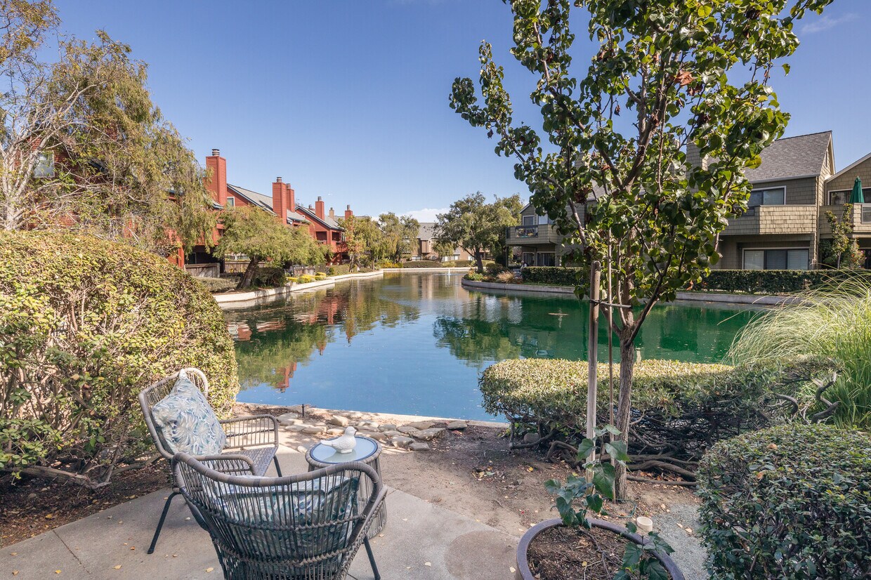 1003 Shoreline Dr, San Mateo, CA 94404 Condo for Rent in San Mateo