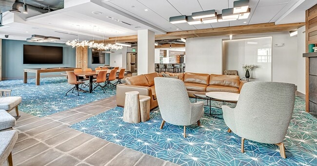 Interior Photo - Olive & Wooster