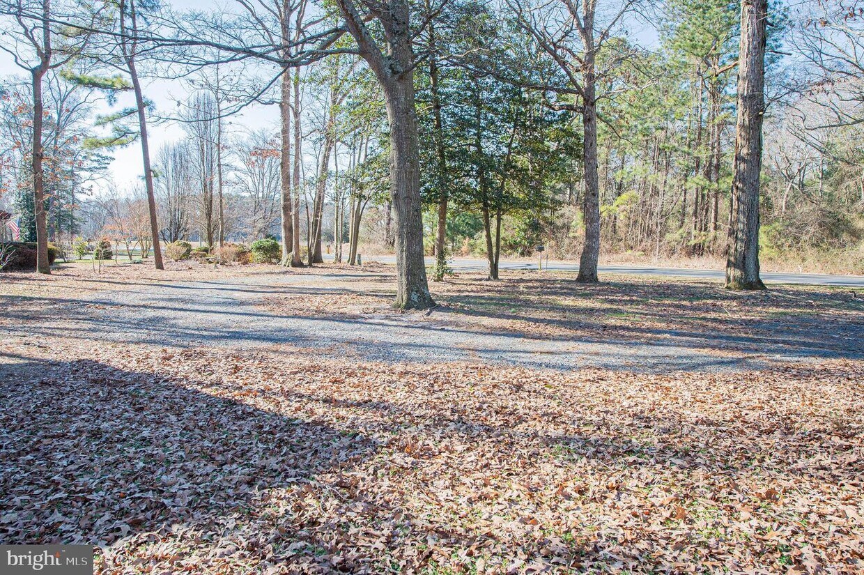 Primary Photo - 6017 Walston Switch Rd