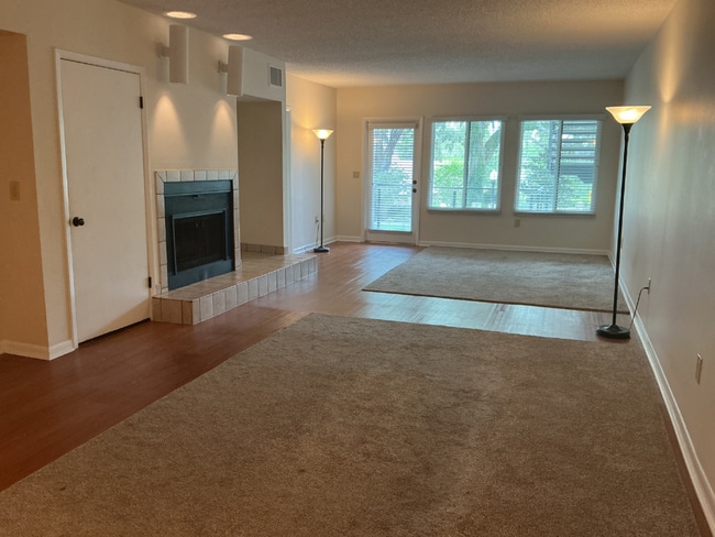 Building Photo - Lakeview Condo Coming Soon | Directly Across from Lake Hollingsworth