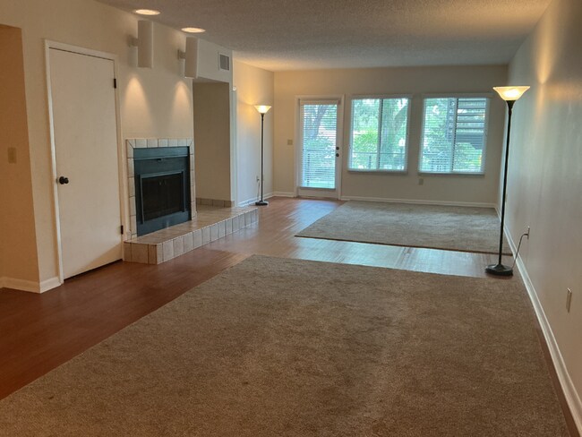 Foto del edificio - Lakeview Condo Coming Soon | Directly Across from Lake Hollingsworth