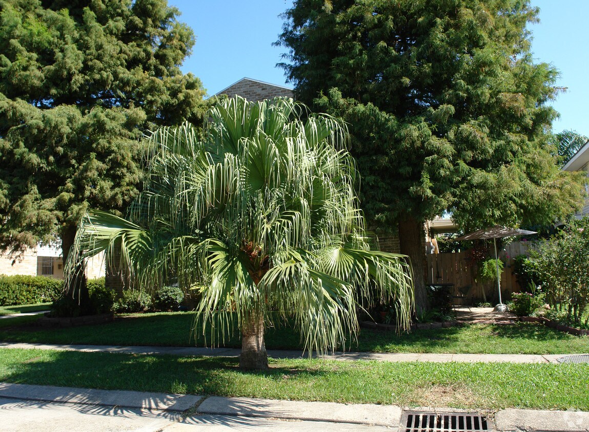Building Photo - 3632 Martinique Ave