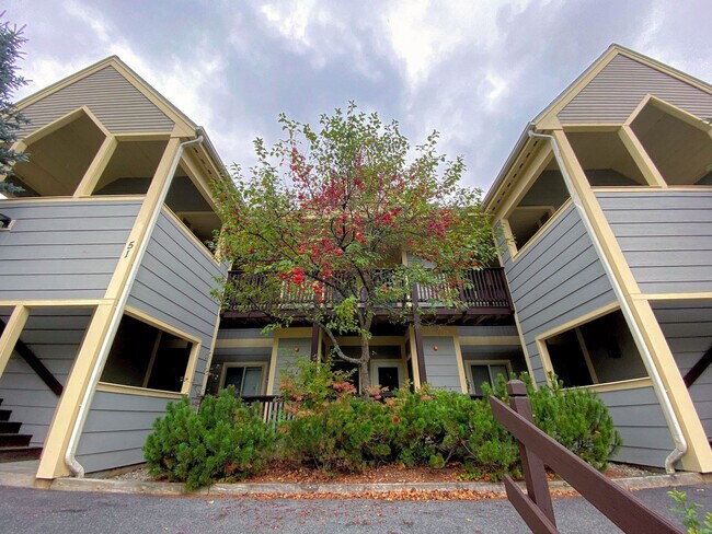 Foto del edificio - 51 Stickney Cir