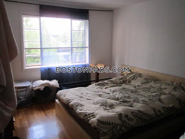 50 Evergreen St Unit 36 photo'