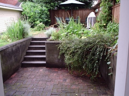 Building Photo - wallingford lower duplex - 1 bedroom + den