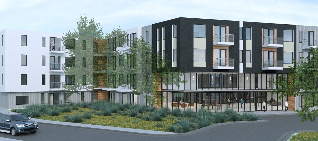 Primary Photo - Sunny 1BR Oasis: Urban Comfort in Austin's...