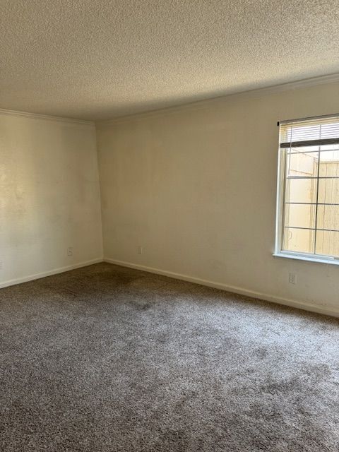 Foto del edificio - 7415 Circle Dr