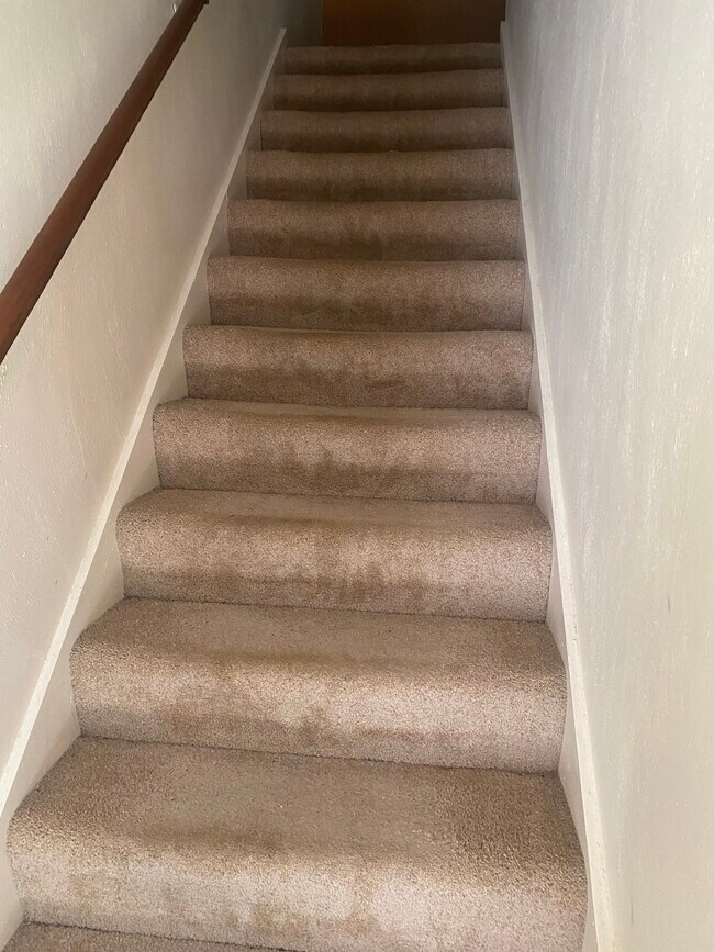Pasos al segundo piso - 3880 Staffordshire Ln