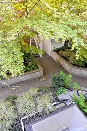 Building Photo - Madrona Court - 1 bedroom