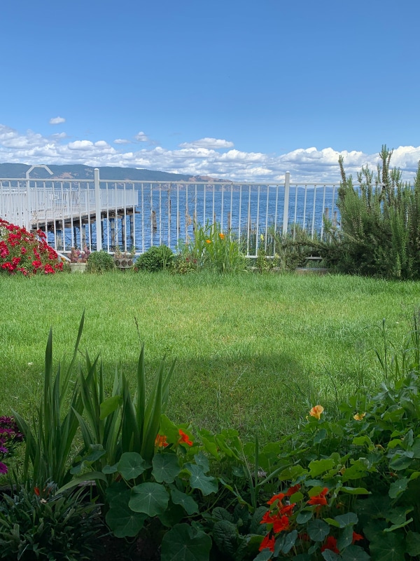 2802 Lakeshore Blvd Unit 11, Lakeport, CA 95453 Room for Rent in Lakeport, CA