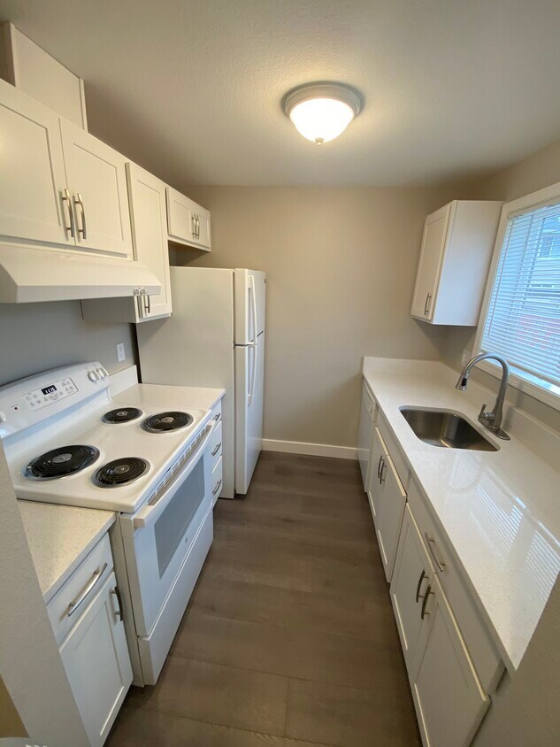 Newly remodeled kitchen - 3305 E Vittoria Way