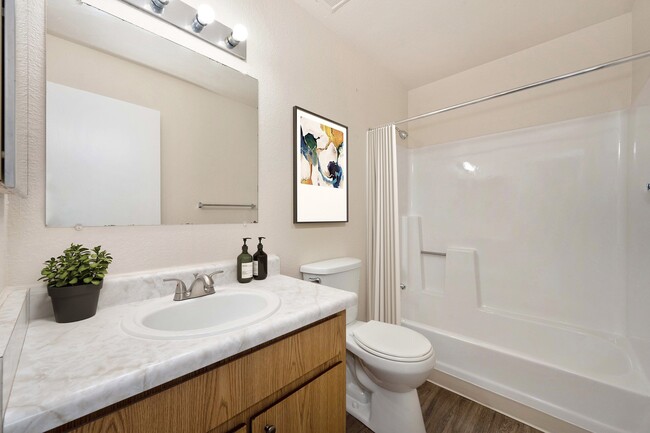 Baño - Ashford Heights Apartments