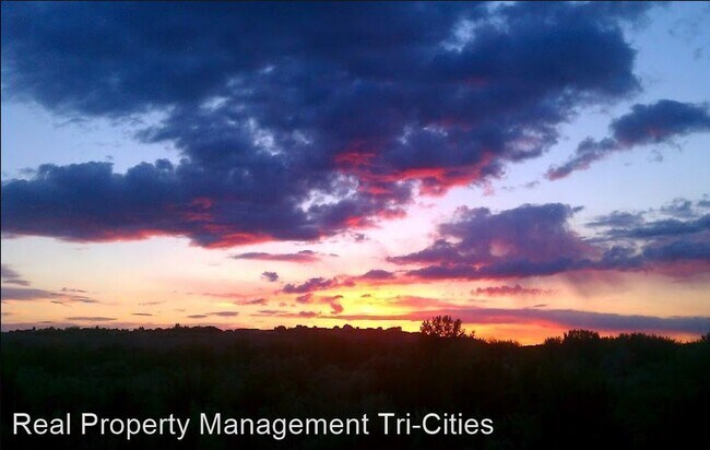 Foto del edificio - 3 br, 2 bath House - 681 Tanglewood Dr