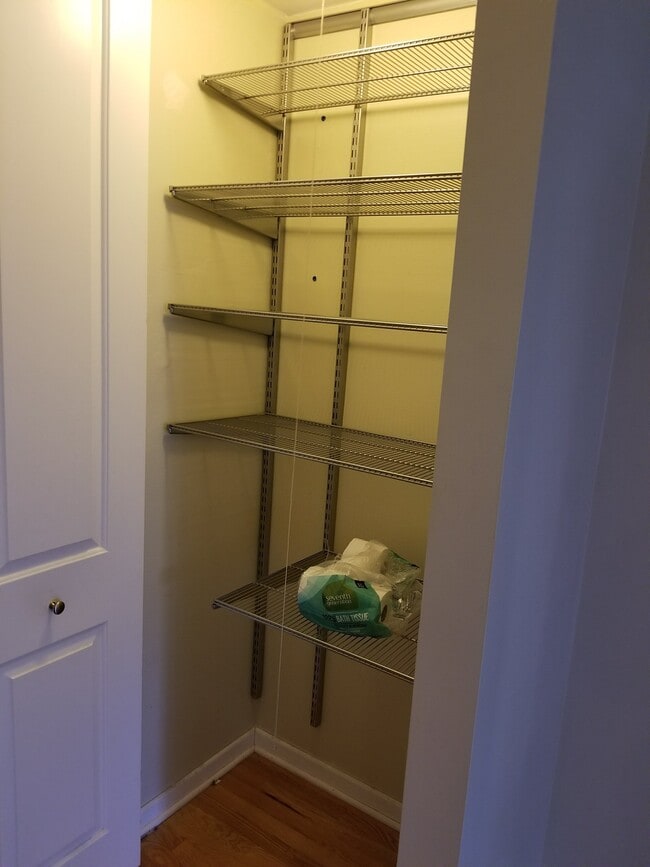 Master Closet 1 - 401 W Webster Ave