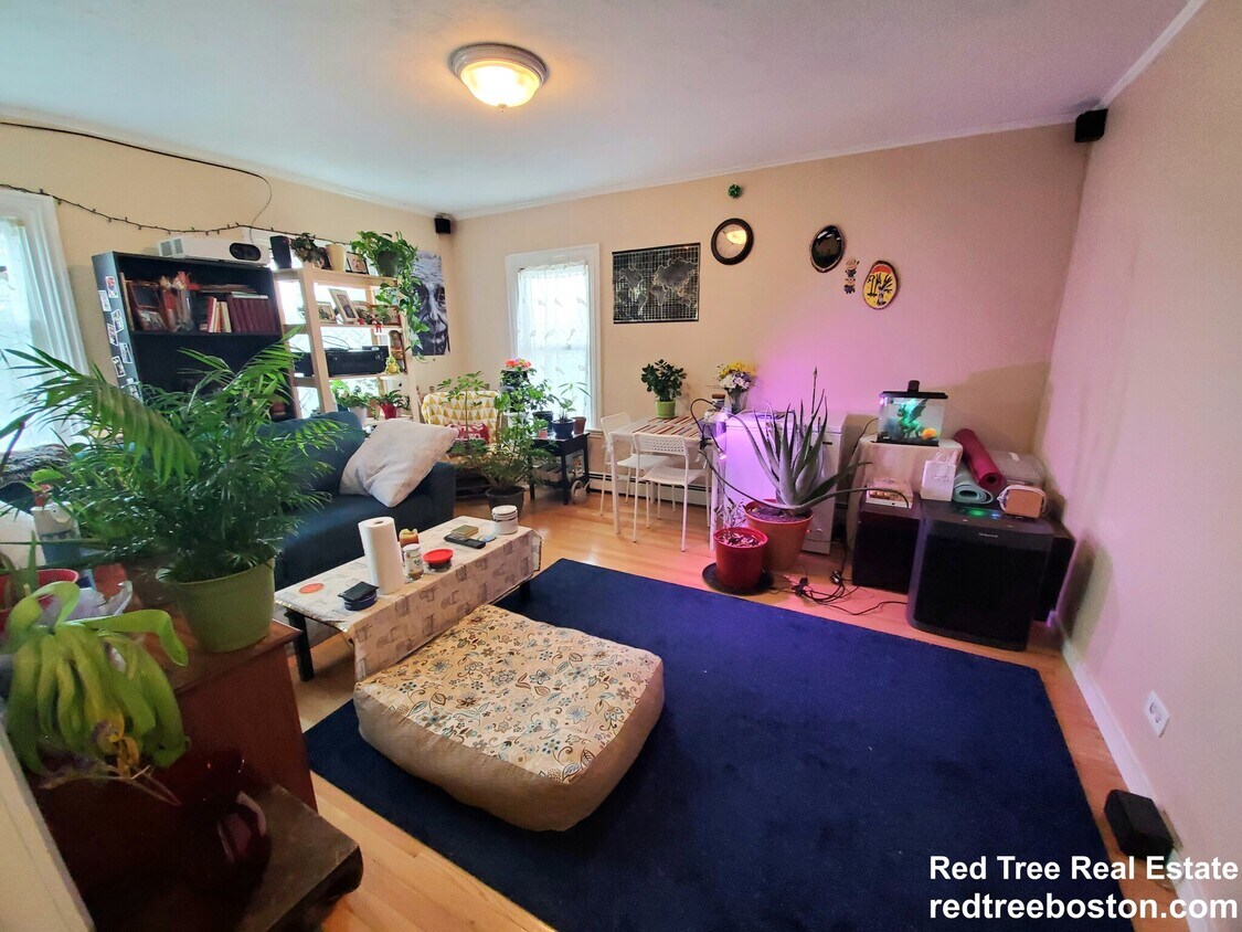 Foto principal - 41 Mount Pleasant St