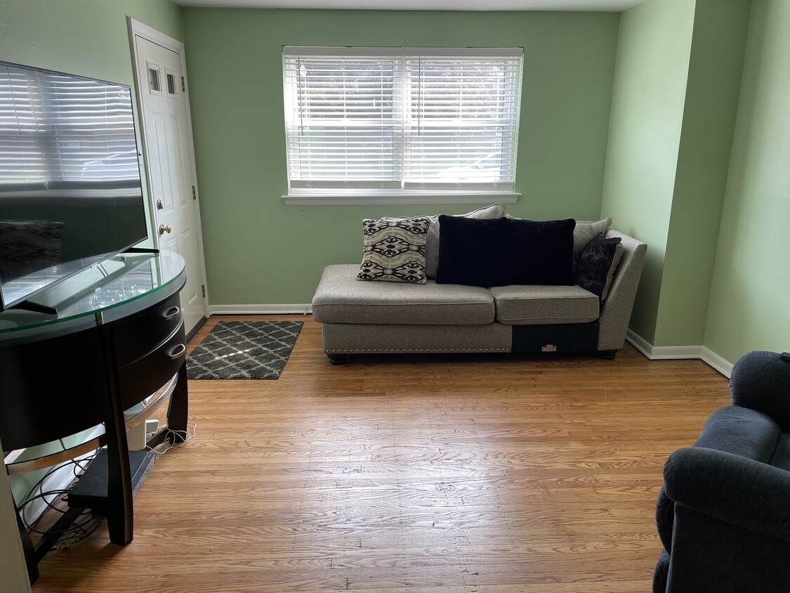 Living room - 205 Abington Ave