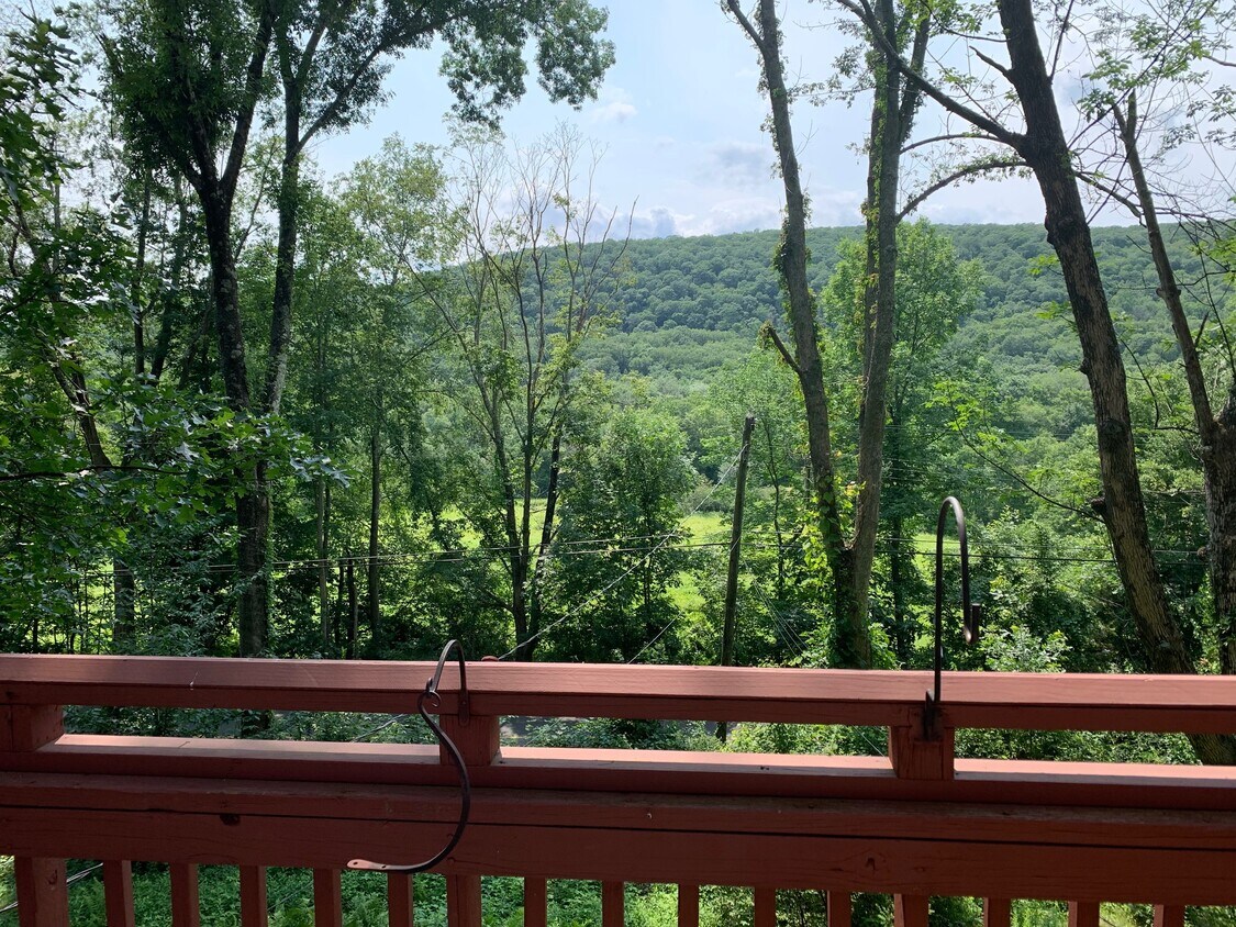 Foto principal - 404 Nettleton Hollow Rd