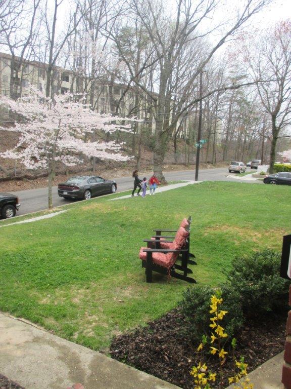 patio - 230 Varnum St NE