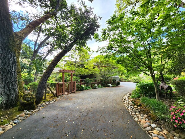 Building Photo - Serene Luxury Home in Portola Valley