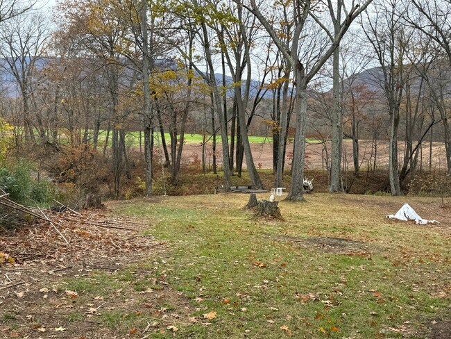 patio trasero - 4387 NY-32