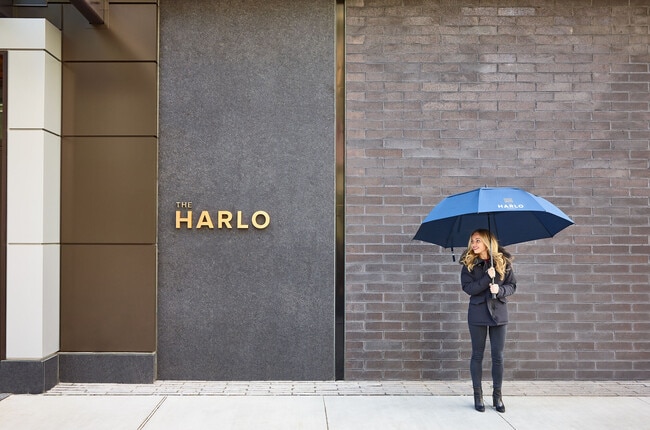 The Harlo - The Harlo Apartments
