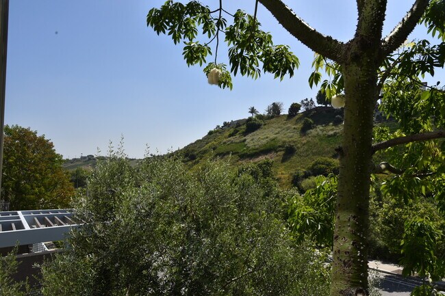Foto del edificio - 12655 Bluff Creek Dr