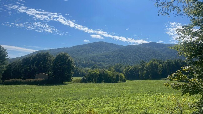 Foto del edificio - Cosby 2/2 Brand New Duplex