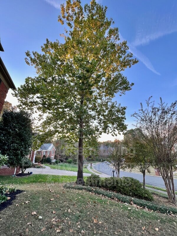 Building Photo - 214 Southern Cross Ln