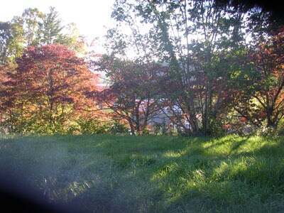 Foto del edificio - Nice Brick Ranch-Style House located across from Lowes in Sylva- 3BD/2BA $1800 a month available ...