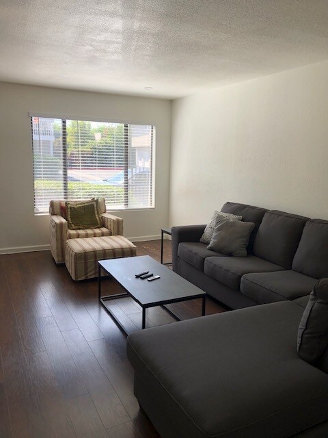 Living Room - 700 W Walnut Ave