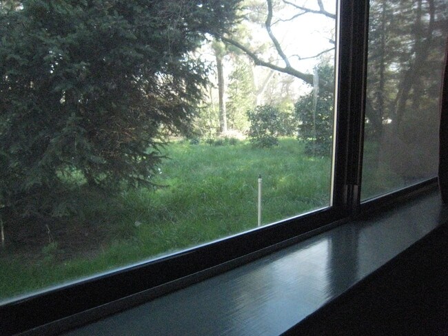 Kitchenette View to Creek - 308 Trout Lake