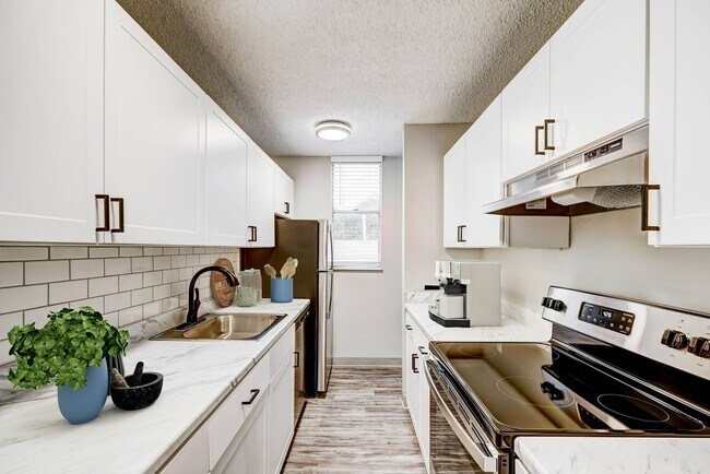 Cocina - Kalo Ivywild