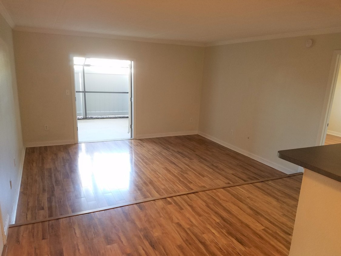 Living room - 5304 W Kennedy Blvd