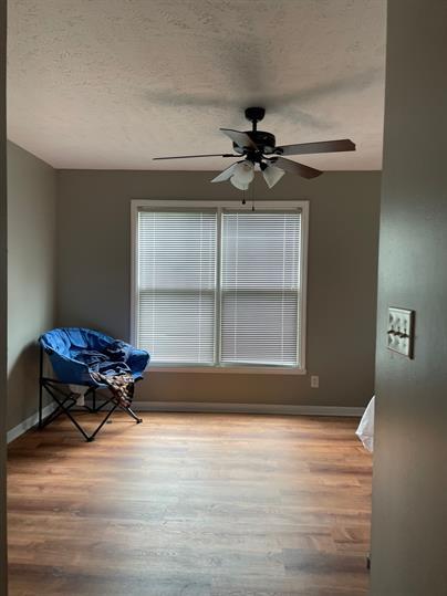Foto del edificio - 513 Meadowland Ct
