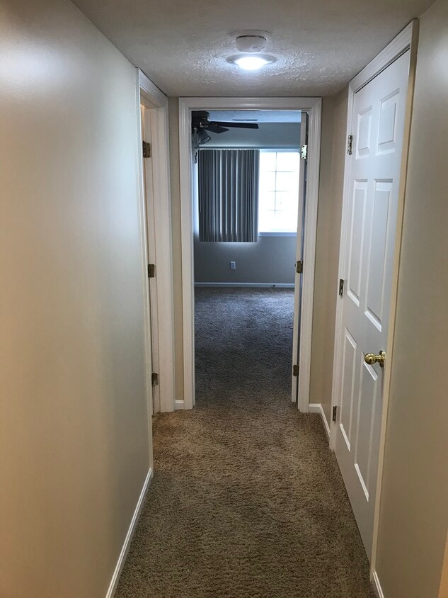 Hallway to second bedroom - 205 Cave Run Dr