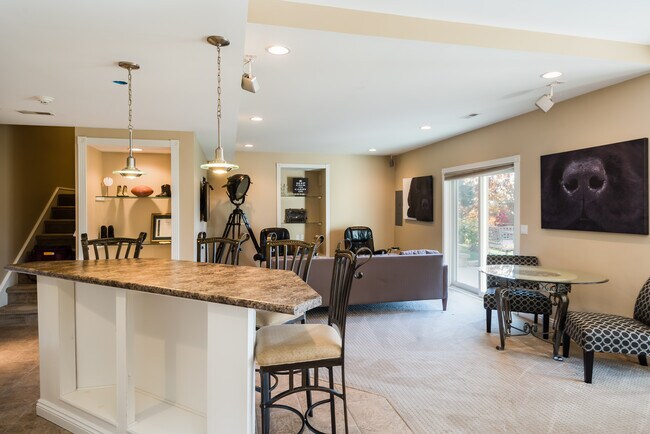 lower level recroom - 1011 Norton Dr