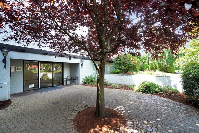 Photo du bâtiment - Casa Montego Apartments