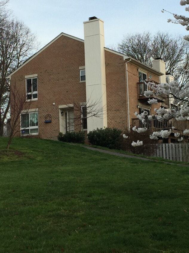 Foto principal - 7527 Broken Staff