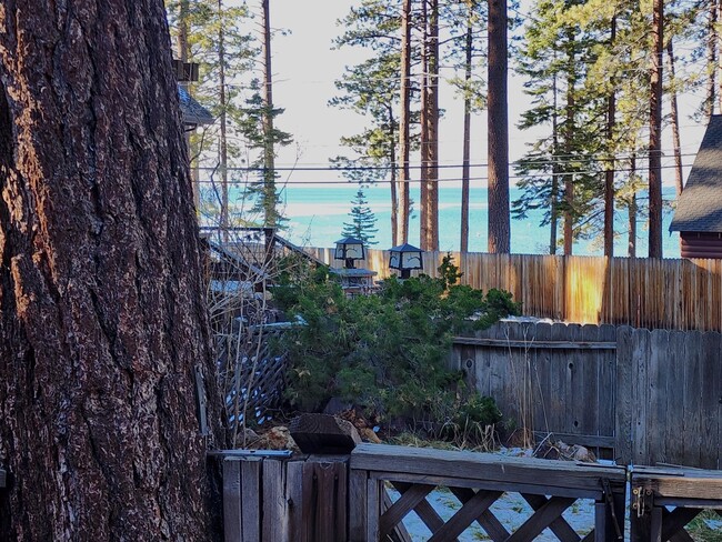 Foto del edificio - Furnished Cabin in Lake Tahoe-Nevada