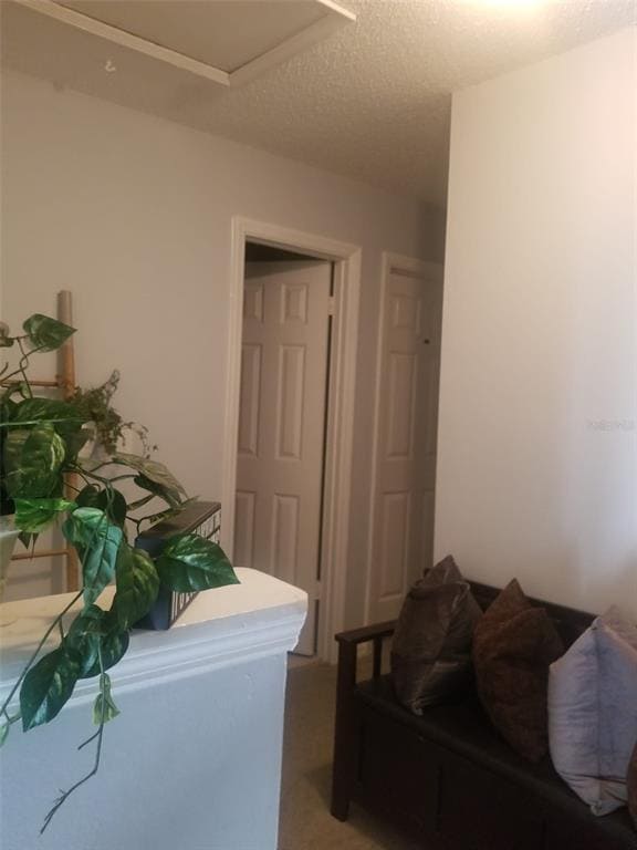 Foto del edificio - 1610 Little River Dr