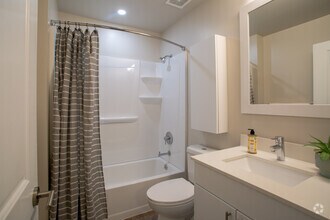 Chestnut Terrace Apartments photo'