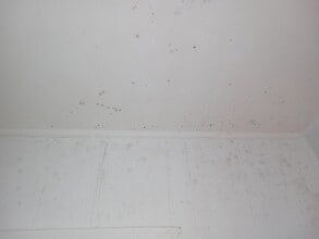 Building Photo - 83 Chem. du Pouvoir