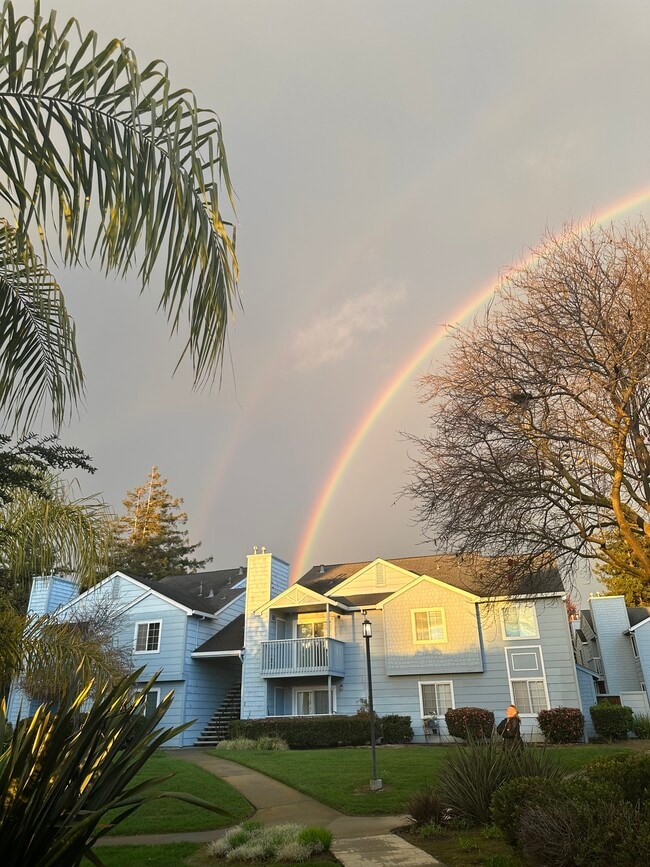 Foto del edificio - 357 Lighthouse Dr