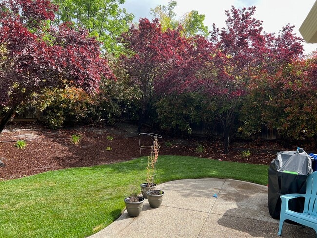 Foto del edificio - 7311 Briza Loop