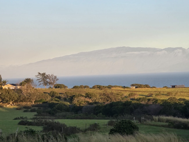 Building Photo - 55-3095-3095 Akoni Pule Hwy