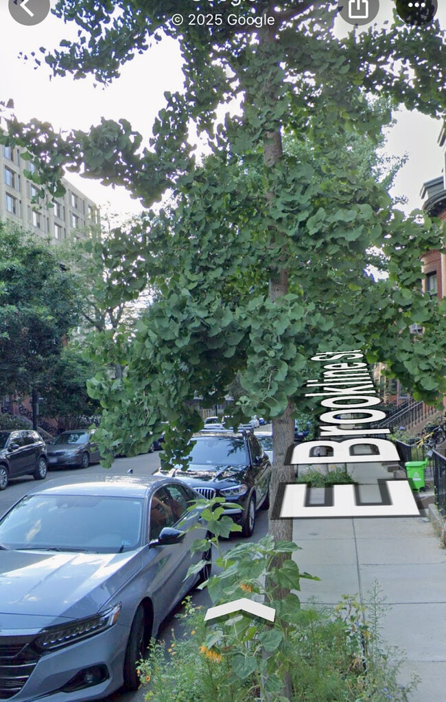 Building Photo - 93 E Brookline St