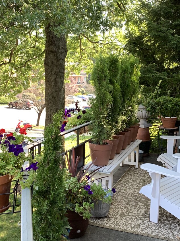 5017 Sentinel Dr, Bethesda, MD 20816 Condo for Rent in Bethesda, MD