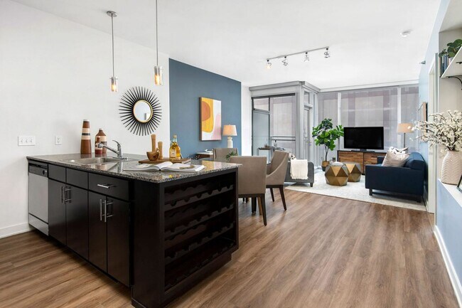 Model Unit - 210 W Kinzie St