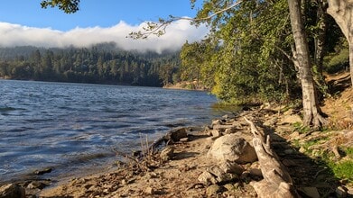 Building Photo - 8823 Lowman Ave