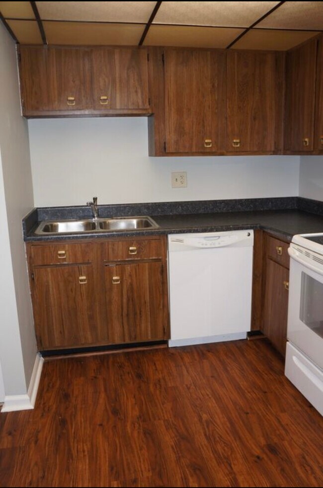Building Photo - 230 Klein Creek Ct